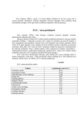 Europos valiuta — euras 2 puslapis