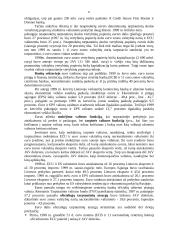 Europos valiuta — euras 11 puslapis