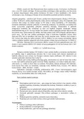 Europos valiuta — euras 13 puslapis