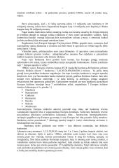 Europos valiuta — euras 7 puslapis