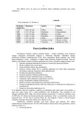 Europos valiuta — euras 8 puslapis