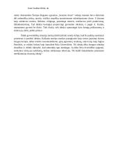 Siek idealo, tik doro ir aukšto 2 puslapis