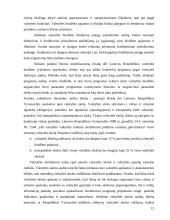 Finansinis auditas 12 puslapis