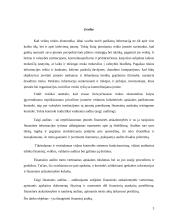 Finansinis auditas 3 puslapis