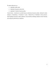 Finansinis auditas 4 puslapis