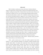 Finansinis auditas 5 puslapis