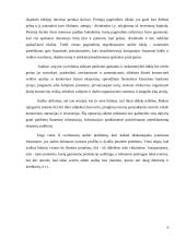 Finansinis auditas 6 puslapis