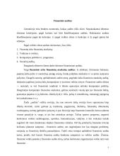 Finansinis auditas 7 puslapis