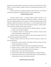 Finansinis auditas 10 puslapis