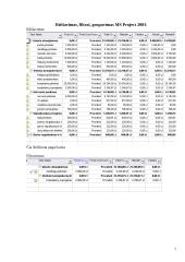 Firmos kompiuterinio tinklo įrengimas 7 puslapis