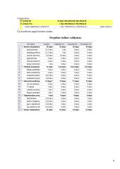 Firmos kompiuterinio tinklo įrengimas 8 puslapis