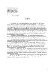 Siuvinėjimas 2 puslapis