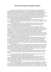 Siuvinėjimas 4 puslapis