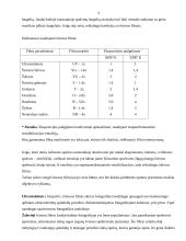 Fotografiniai filtrai 3 puslapis