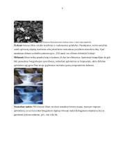 Fotografiniai filtrai 5 puslapis