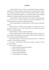 Gamybos logistika 2 puslapis