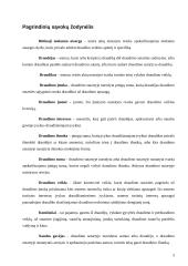 Gyventojų gyvybės draudimas 3 puslapis