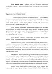 Gyventojų gyvybės draudimas 4 puslapis