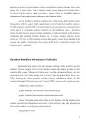 Gyventojų gyvybės draudimas 5 puslapis