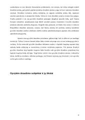 Gyventojų gyvybės draudimas 8 puslapis