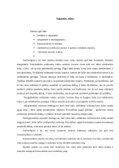 Sutarties samprata civilinėje teisėje 5 puslapis