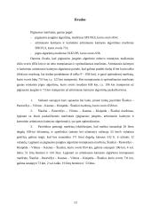 Hamiltono ciklai: UAB "Baldeks" 14 puslapis