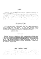 Holokaustas pasaulyje bei Lietuvoje 3 puslapis