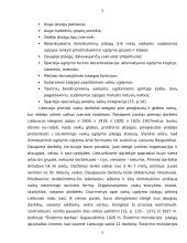 Ikimokyklinio ugdymo švietimo sistemų lyginamoji analizė: 1918-1940 metais ir 1990-2003 metais 6 puslapis