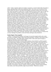 Šatrijos Ragana. Vaiko pasaulis kūryboje 2 puslapis