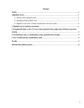 Ilgalaikio turto vertinimas ir nusidėvėjimo sumos apskaičiavimas 2 puslapis