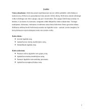 Ilgalaikio turto vertinimas ir nusidėvėjimo sumos apskaičiavimas 3 puslapis