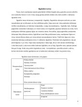 Ilgalaikio turto vertinimas ir nusidėvėjimo sumos apskaičiavimas 4 puslapis