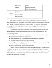 Ilgalaikio turto vertinimas ir nusidėvėjimo sumos apskaičiavimas 5 puslapis