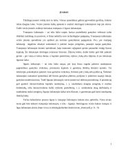 Ilgojo ir trumpojo laikotarpio kaštai 2 puslapis