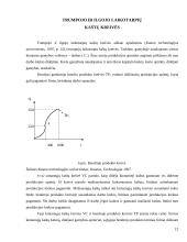 Ilgojo ir trumpojo laikotarpio kaštai 12 puslapis