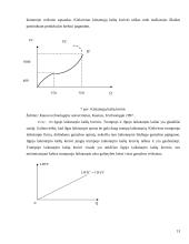 Ilgojo ir trumpojo laikotarpio kaštai 13 puslapis