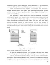 Ilgojo ir trumpojo laikotarpio kaštai 18 puslapis