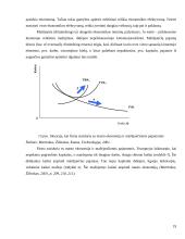 Ilgojo ir trumpojo laikotarpio kaštai 19 puslapis