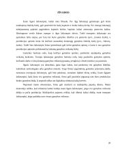 Ilgojo ir trumpojo laikotarpio kaštai 20 puslapis