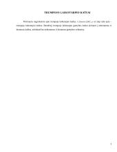 Ilgojo ir trumpojo laikotarpio kaštai 3 puslapis