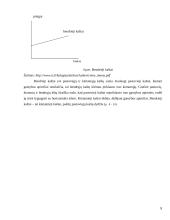 Ilgojo ir trumpojo laikotarpio kaštai 8 puslapis