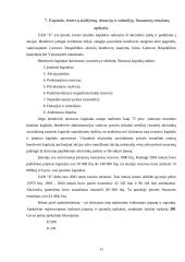 Įmonės veiklos analizė: transporto paslaugų įmonė 11 puslapis