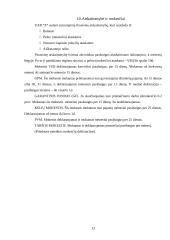 Įmonės veiklos analizė: transporto paslaugų įmonė 13 puslapis