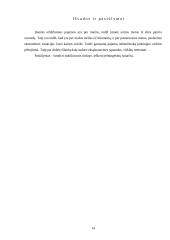 Įmonės veiklos analizė: transporto paslaugų įmonė 14 puslapis