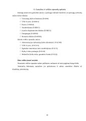 Įmonės veiklos analizė: transporto paslaugų įmonė 10 puslapis