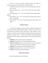 Iškalba ir viešoji kalba 13 puslapis