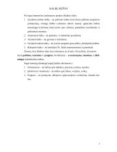 Iškalba ir viešoji kalba 3 puslapis