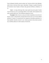 Iškalba ir viešoji kalba 9 puslapis