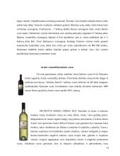 Italijos virtuvė 16 puslapis