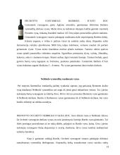 Italijos virtuvė 19 puslapis
